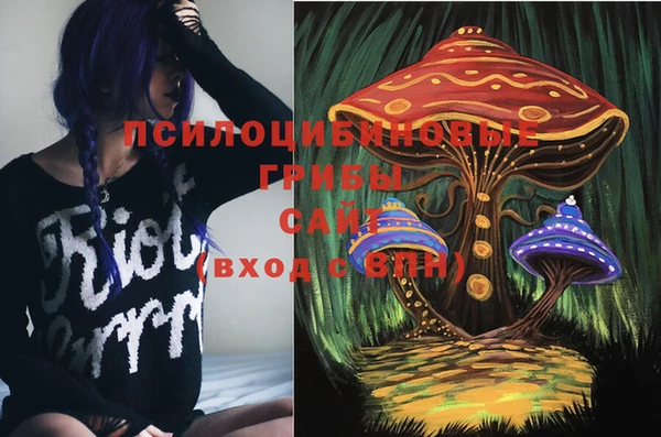 ГАЛЛЮЦИНОГЕННЫЕ ГРИБЫ Баксан