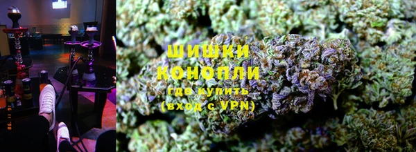 ГАЛЛЮЦИНОГЕННЫЕ ГРИБЫ Баксан