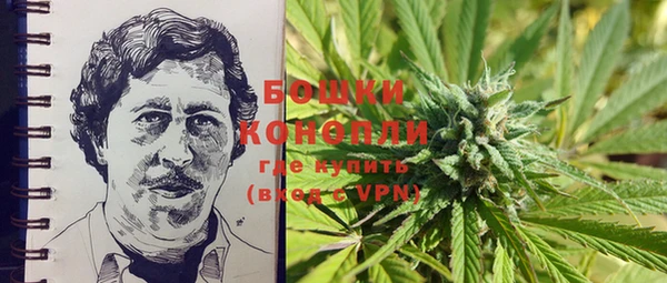 ГАЛЛЮЦИНОГЕННЫЕ ГРИБЫ Баксан