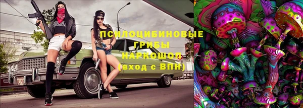 соль ск Балахна