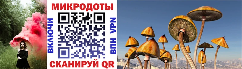 Псилоцибиновые грибы Psilocybine cubensis  Любим 